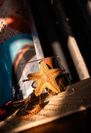 Cinto Estrela Carmel